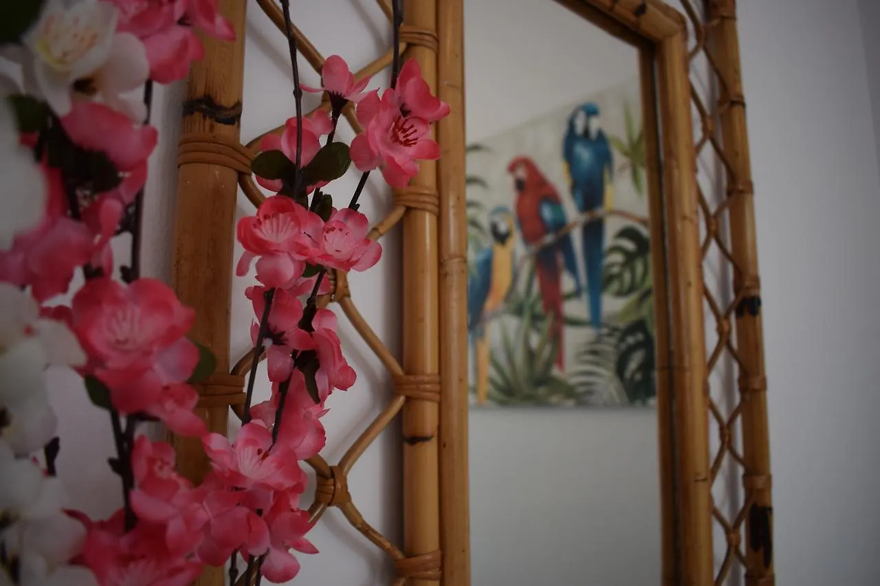 Bed and Breakfast Casa Cinzia Las Palmas de Gran Canaria Bed & Breakfast
